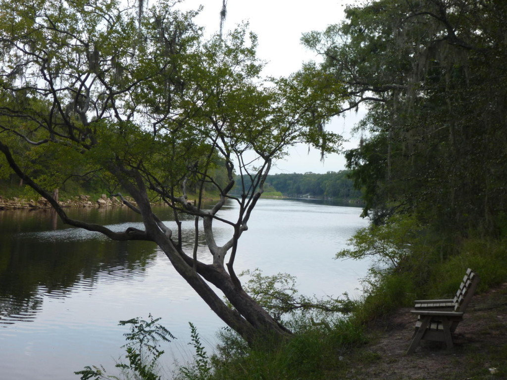 The Suwannee River. 