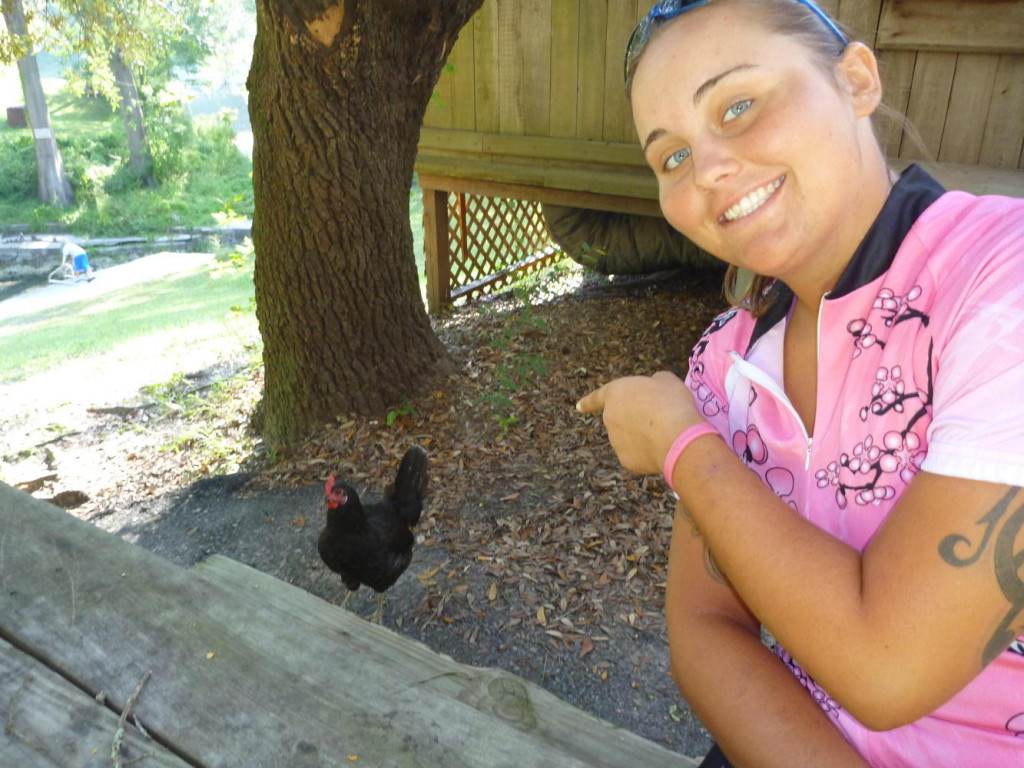 Local bird life. The owner says this hen is one of the last remaining because of the owls. 