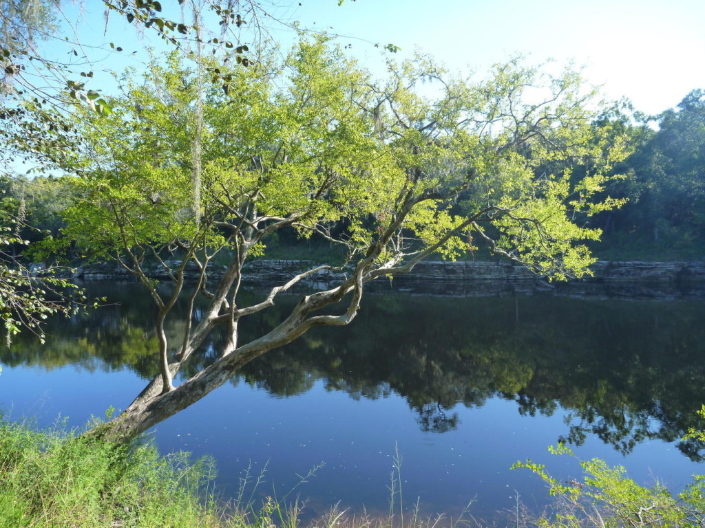 P1020211