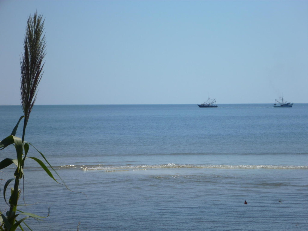 Gulf shrimpers shrimping. 