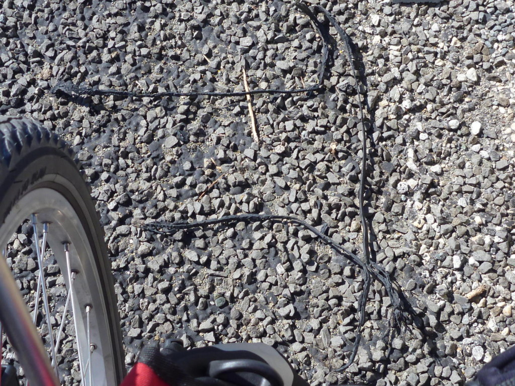 The bad guys - shredded steel belted radial tires. 