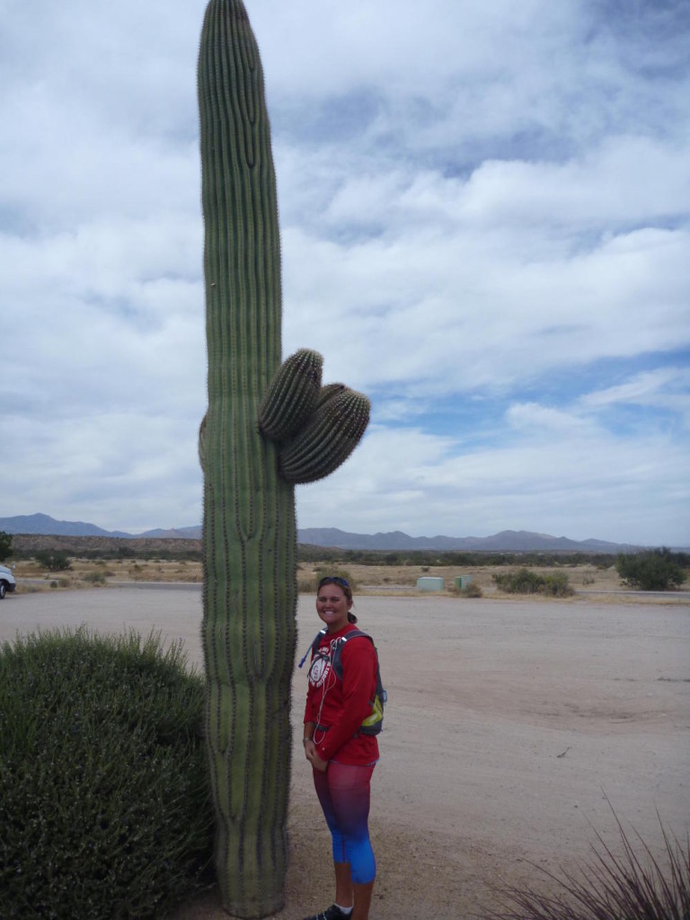 A tall cactus! 