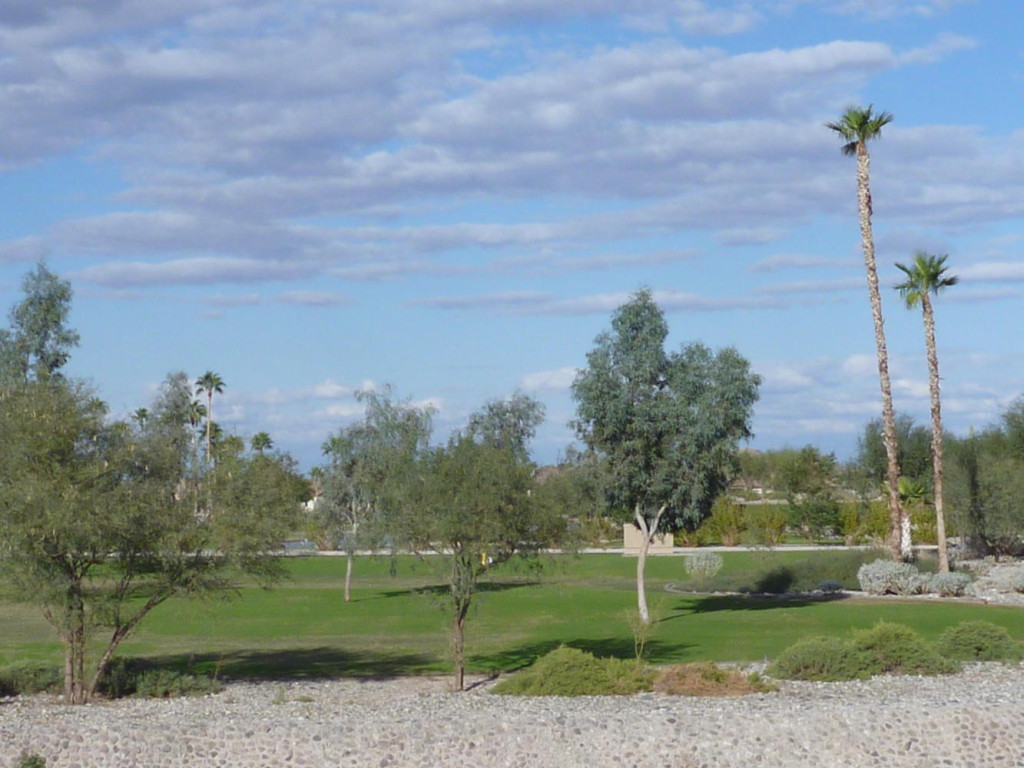 The first grass we have seen in Arizona. We heard that if you want a lawn it costs about $300 a month for the water. 