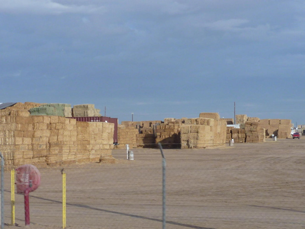 Lots of hay outside of El Centro. 