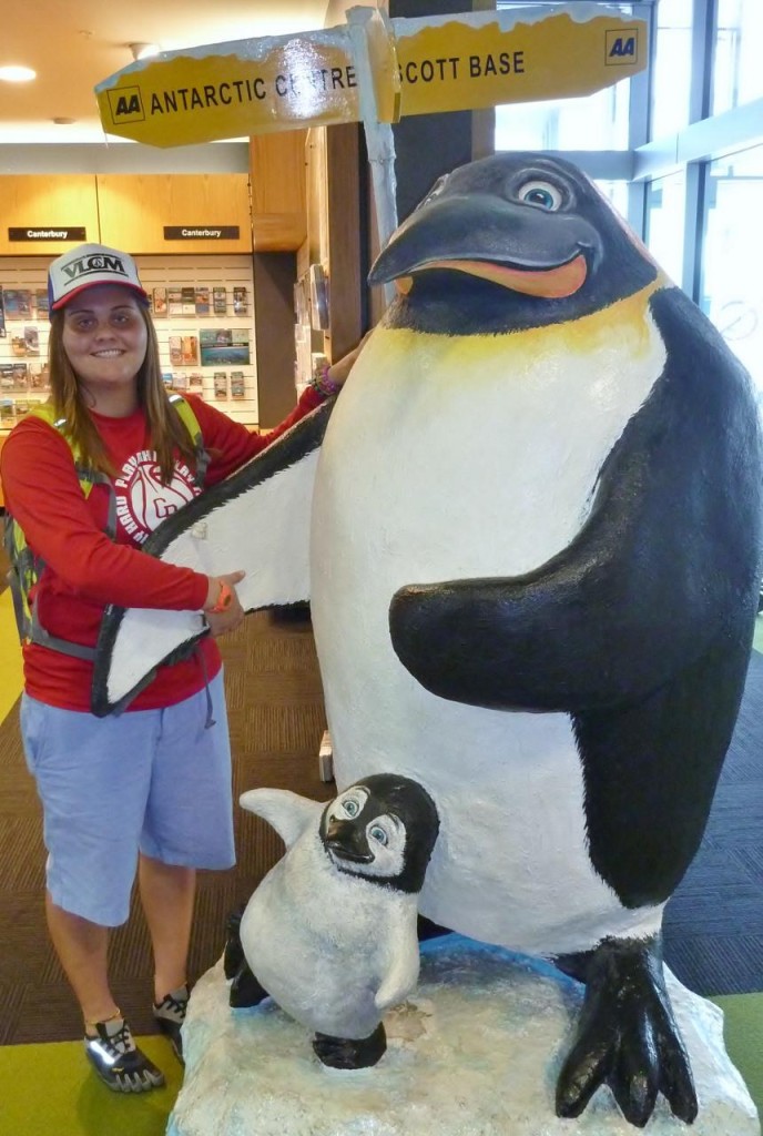 Jocelyn being welcomed by the local penguins. 