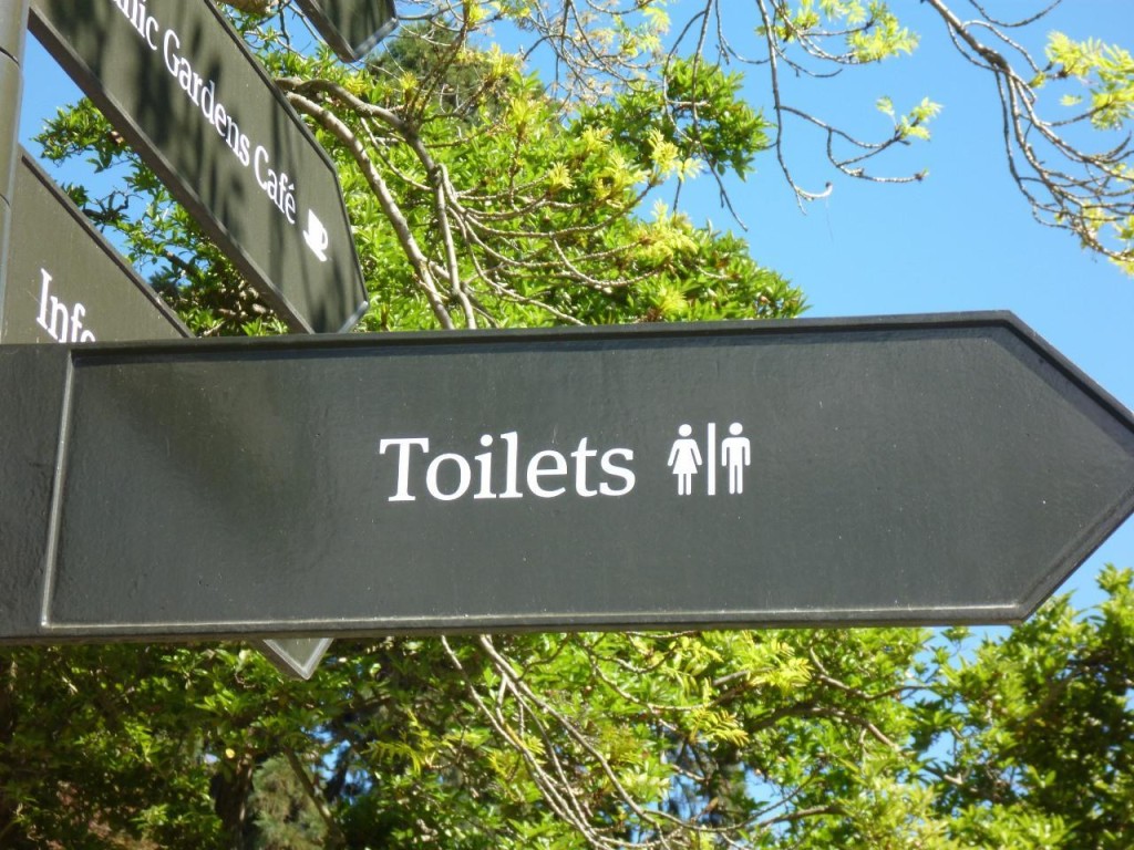 There are no bathrooms or restrooms here but there are toilets. 