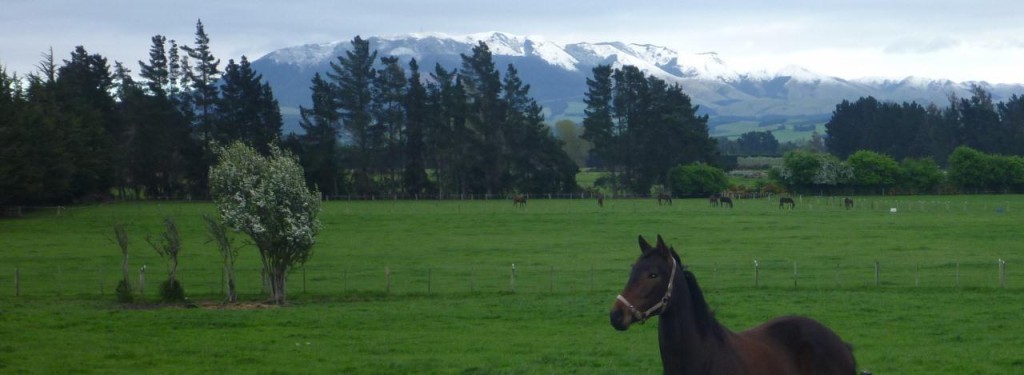 Beautiful country. 