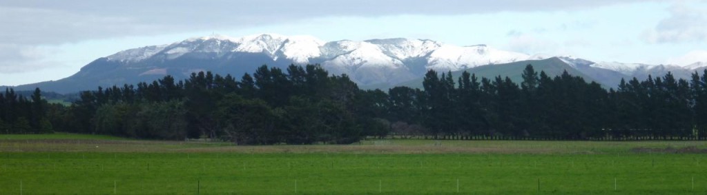 The Southern Alps. 