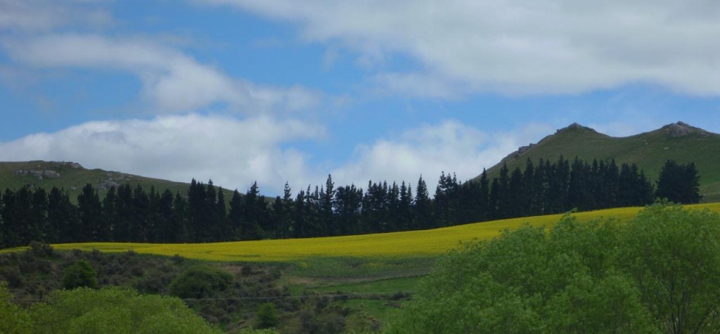 P1070046__1280x595_