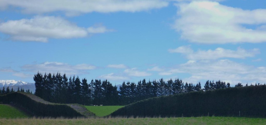 I really like the hedges instead of fences. 