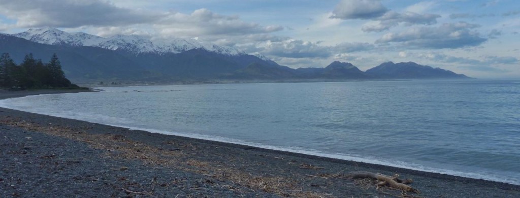 The Kaikoura Shoreline. 