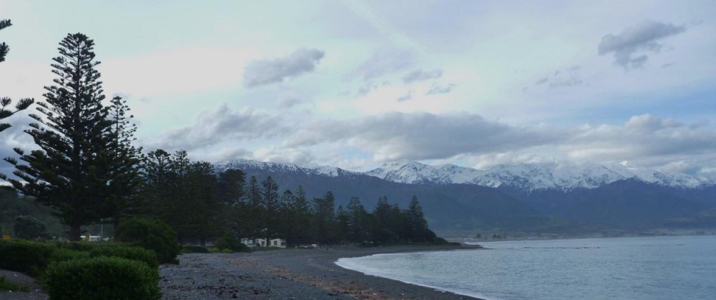 P1070172__1280x537_
