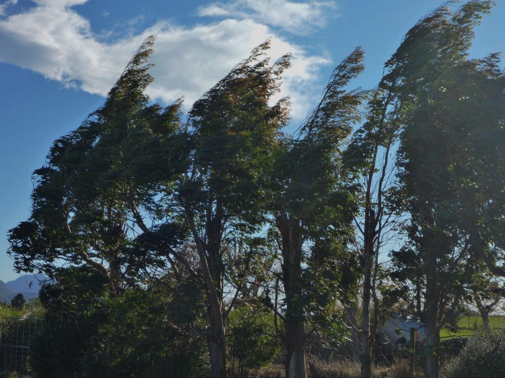 Did I say the wind was blowing hard? 