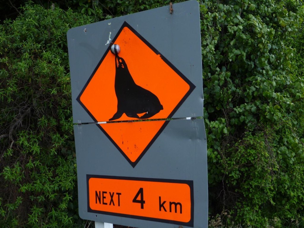 Fur seal country ahead. 