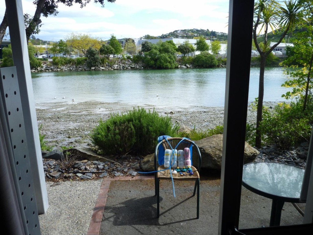 Our river view. 