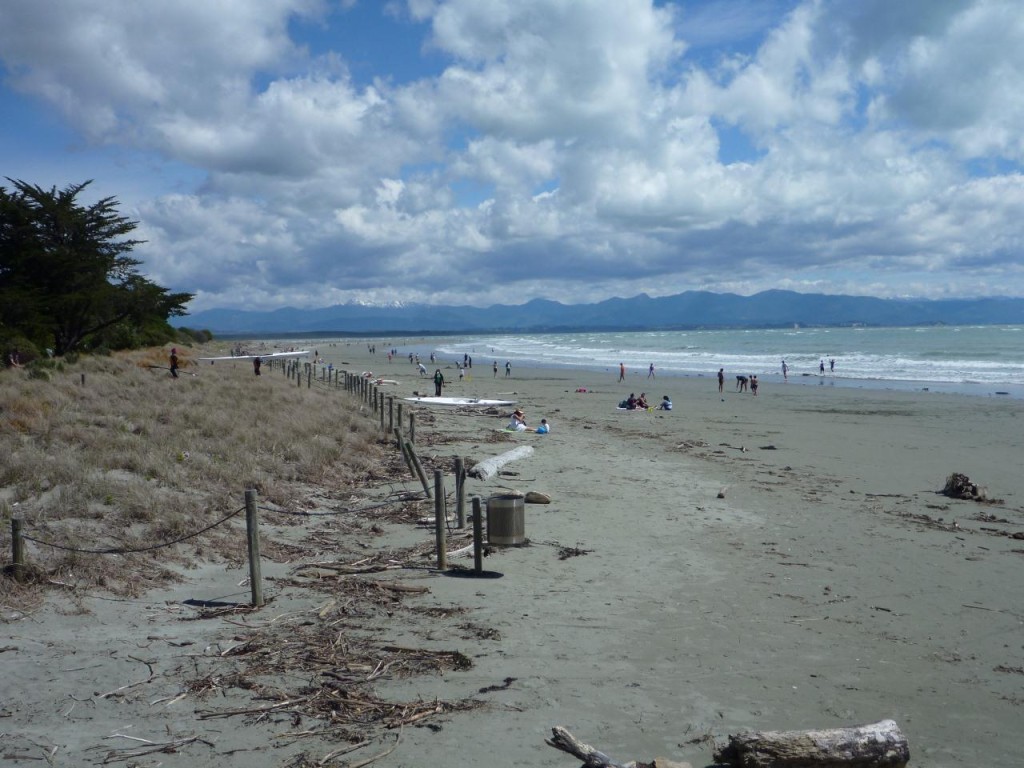 The local beach. 