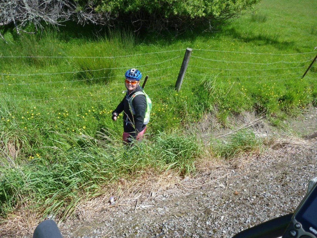 Maybe we shouldn't have. Jocelyn on a pit stop. 