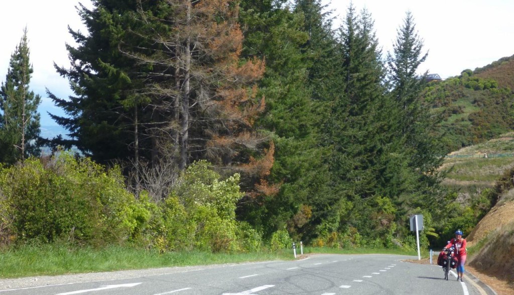 P1070390__1280x736_