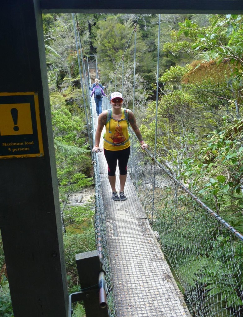 Maximum of 5 people at one time on the swaying bridge. It was really moving too! 