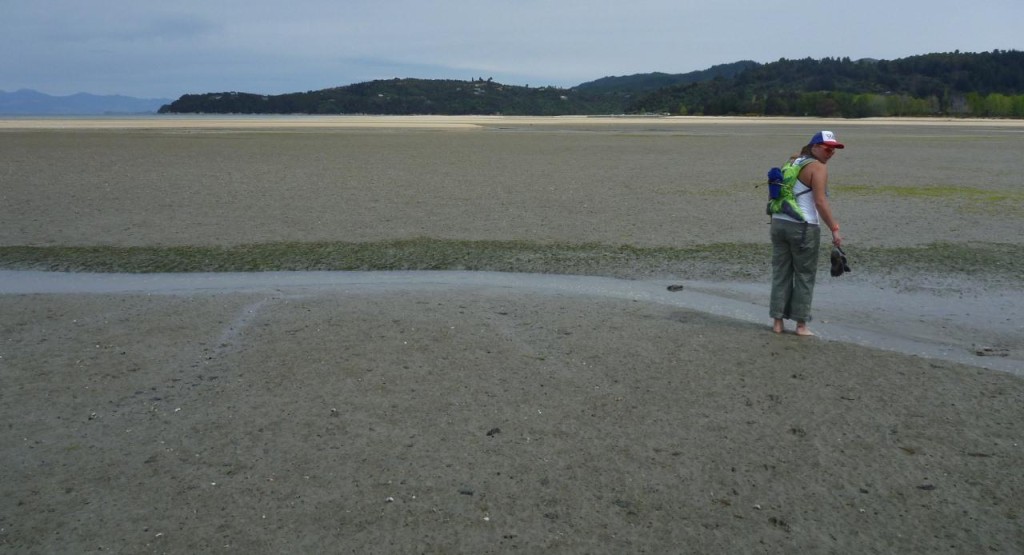 We crossed the low tide estuary for a shortcut back. the tidal range is 15 feet. 