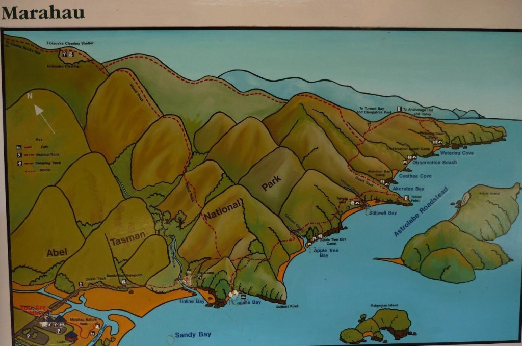 Depicting the Abel Tasman Coastline. We stayed a little ways from the "you are here" in the lower left corner. 