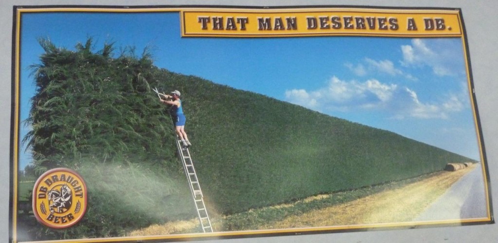 I have really enjoyed the huge hedges in New Zealand. A poster in the tavern. 