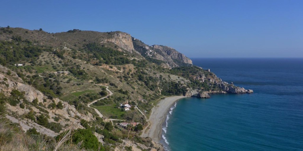 A beautiful coastline. What a great place for a house. 