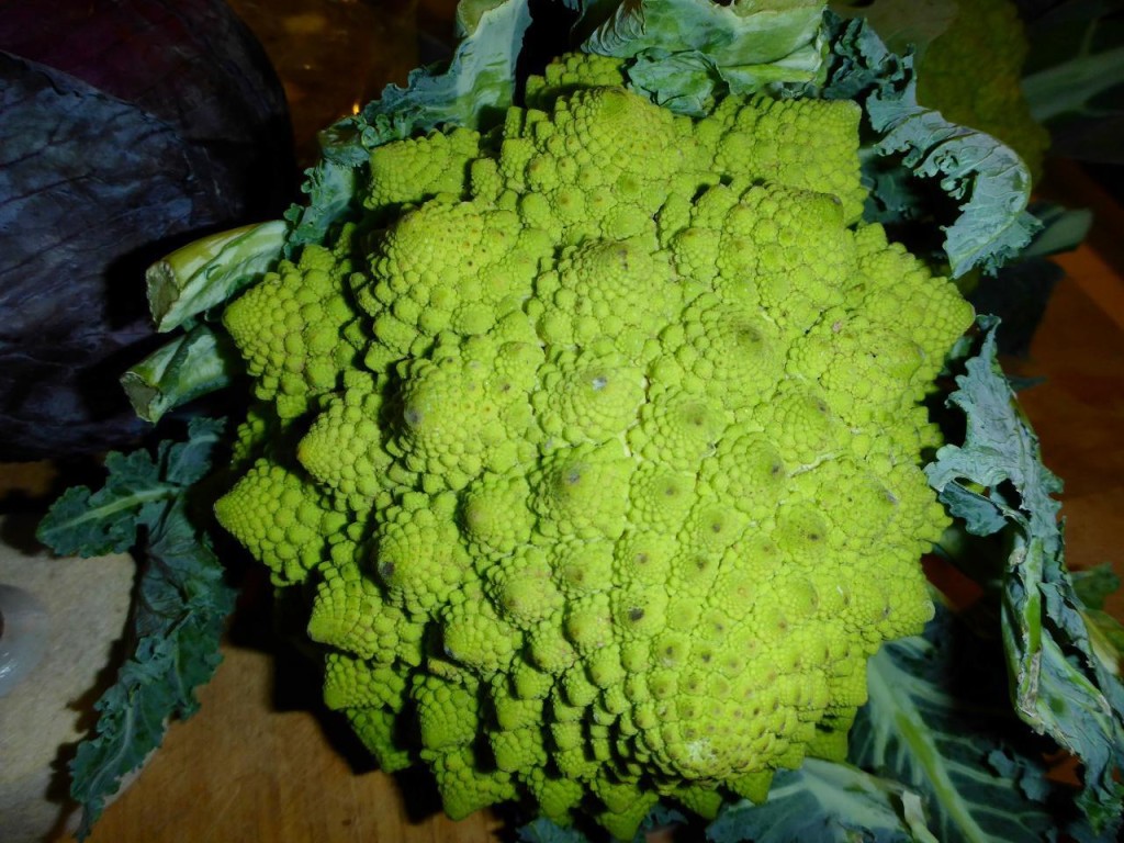 I have never had this type of cauliflower. It was delicious. 