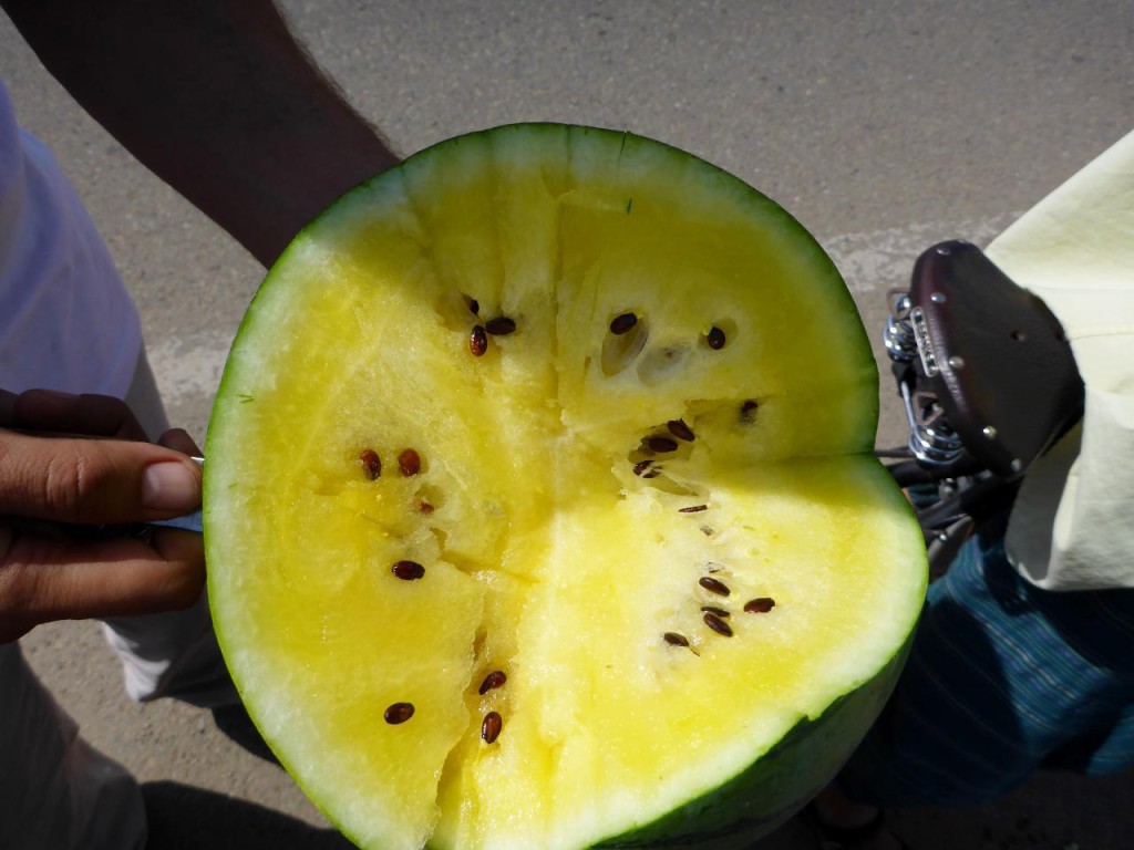A first for us - yellow watermelon. Delicious and juicy. 