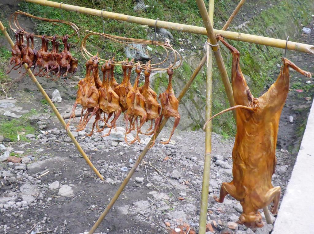 Roadside food for sale - birds and a cat. 