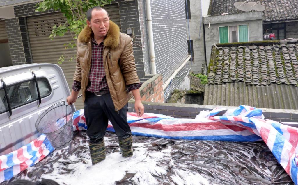 This guy is selling catfish from his pickup. 