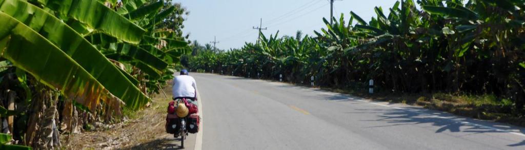 Riding by a banana plantation. 
