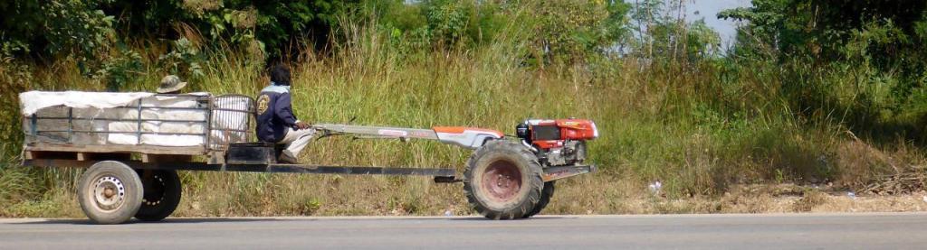 Vietnam and Laos use water buffaloes in the field. Thais use these tractors.