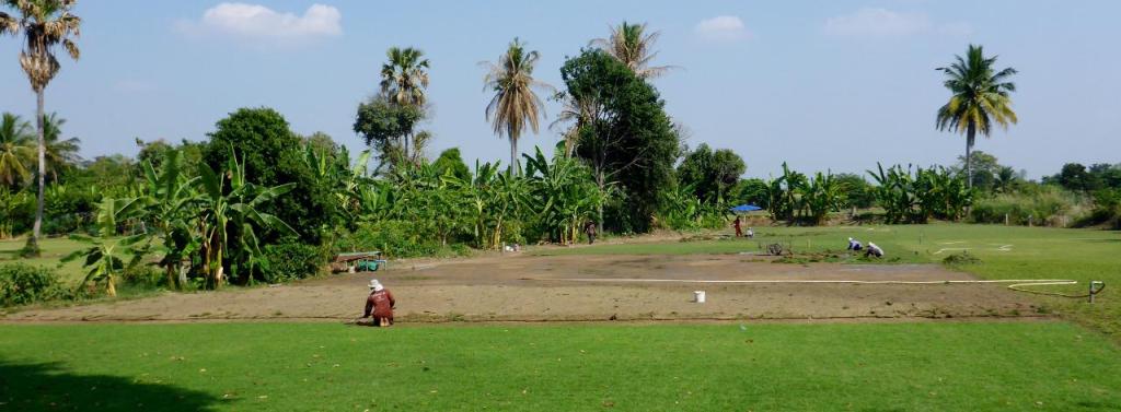Hand cultivating grass.