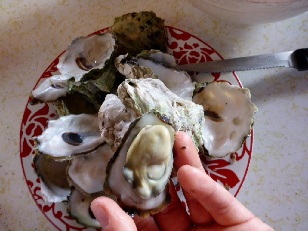 Delicious oysters we steamed in beer. 
