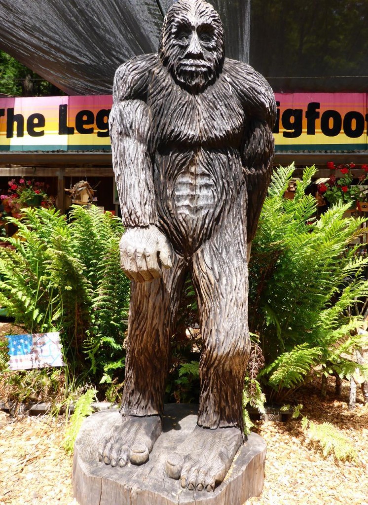 Bigfoot is everywhere from Washington to California. 