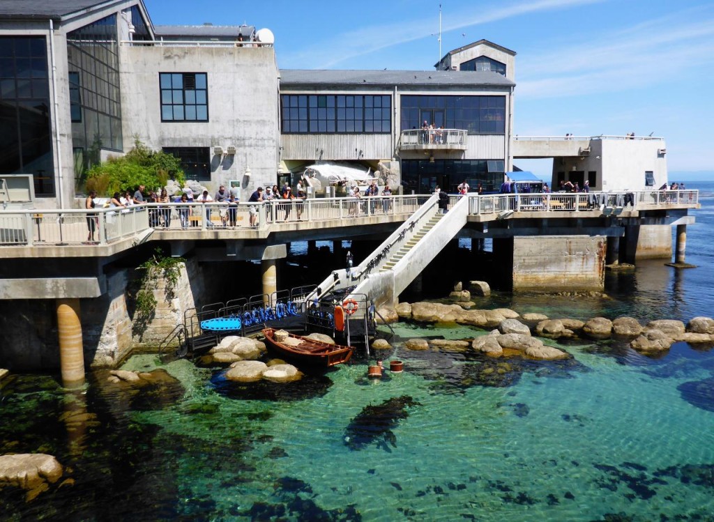 The aquarium sits on Monterey Bay. 