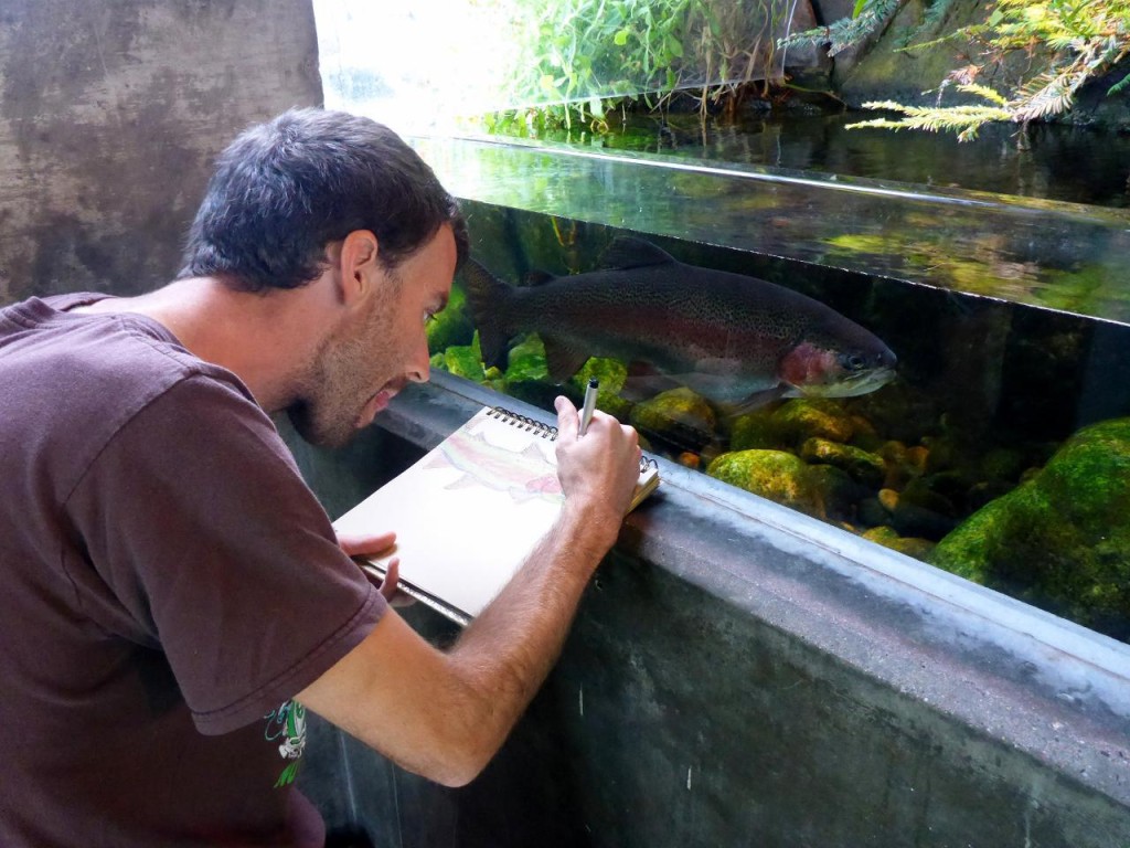 Cary is an artist and likes to draw what he sees. His model is a rainbow trout.