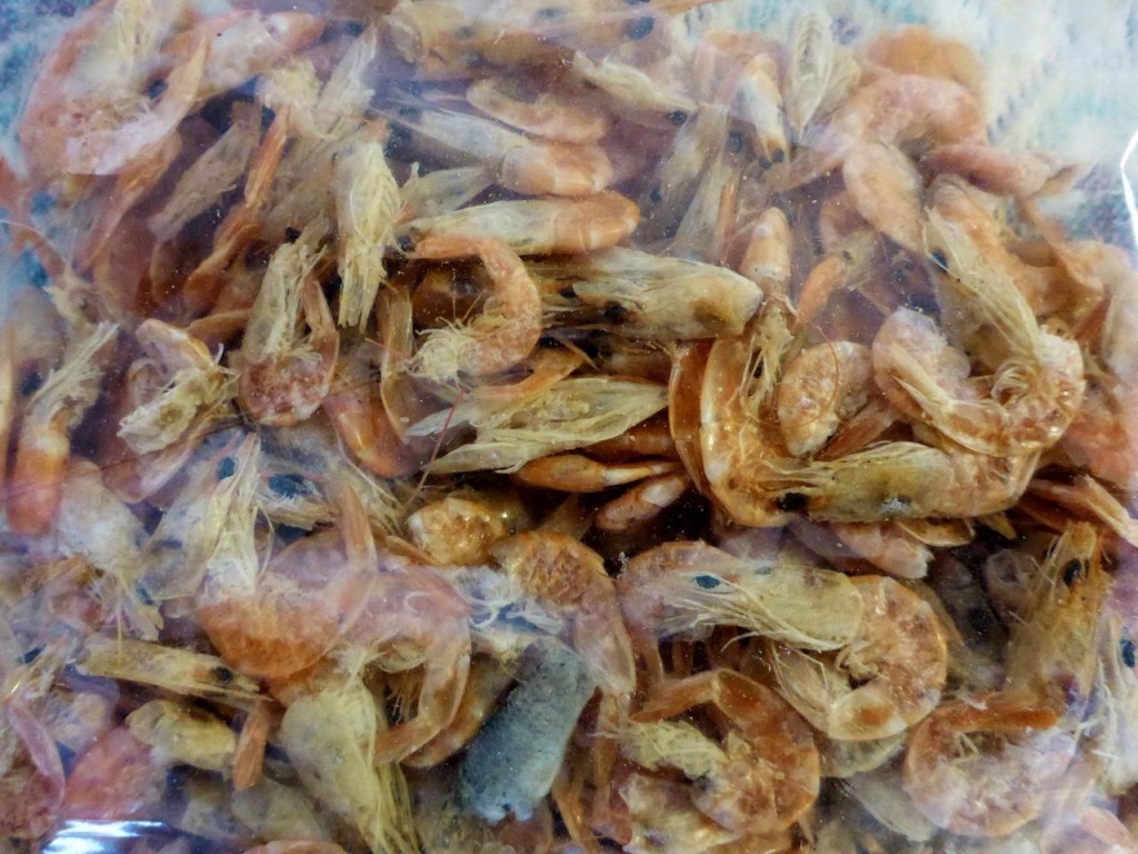 Dried shrimp is a popular snack here. We bought this bag and tried it. Very fishy and salty. Good with cerveza though. 