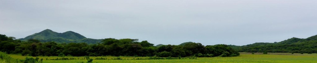 Mexico's jungle terrain. 