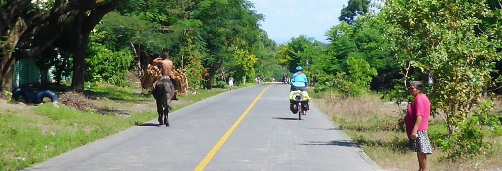 In rural Latin America people gather cooking wood and haul it home. Sometimes by bike or just carrying a large piece by hand. This guy is doing well because he has a horse. 