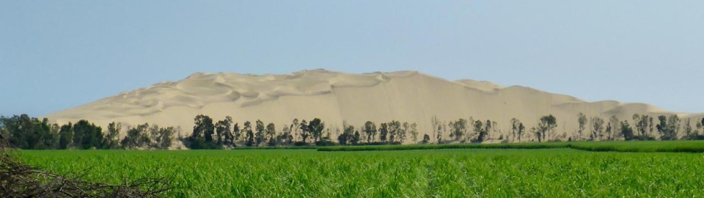 A huge sand dune. 