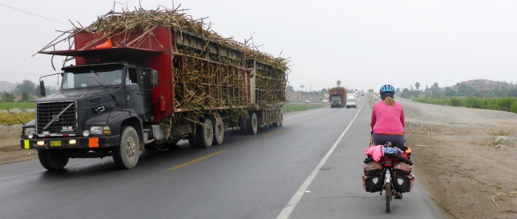 Sugar cane trucks are common here. 
