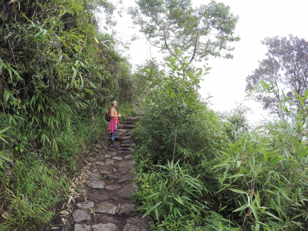 Hiking up Mountain Machu Picchu. 