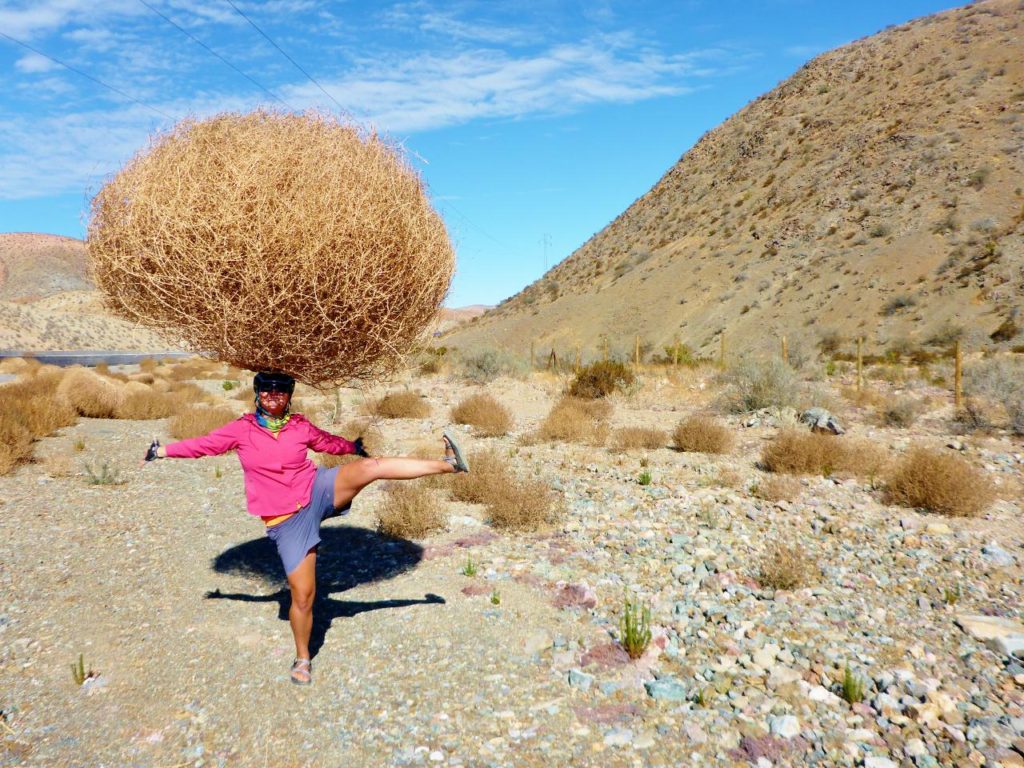 Balancing a tumbleweed on her head!. quite a feat. 