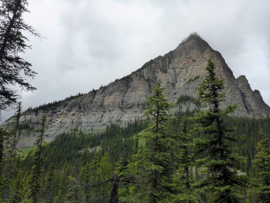 We hiked in Banff National Park.