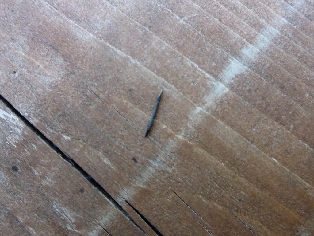 This tiny shredded tire wire took out my Schwalbe tire. It was my first puncture since Nicaragua!