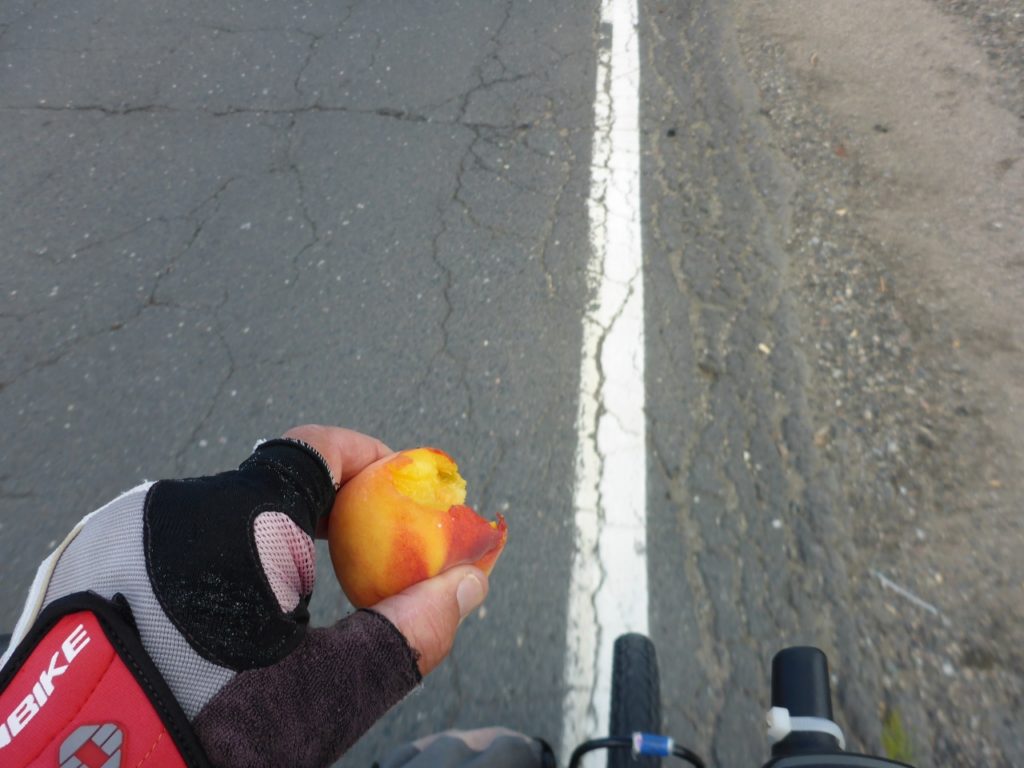A driver stopped a gave us delicious peaches.