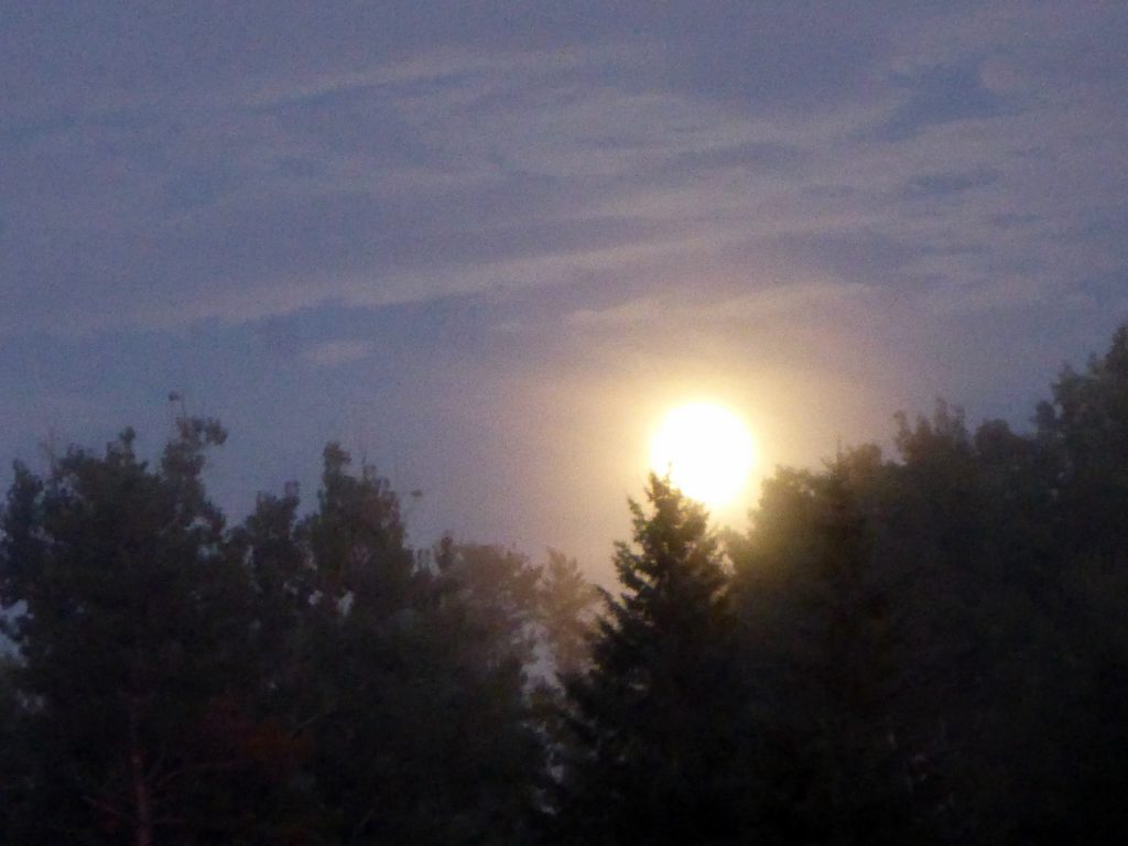 Full moon rise.