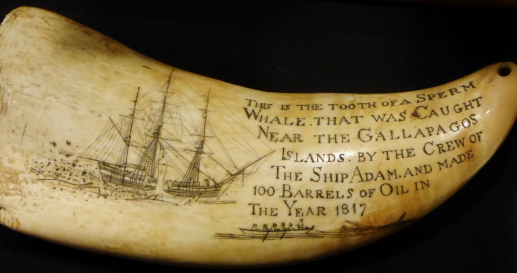 Very cool scrimshaw.